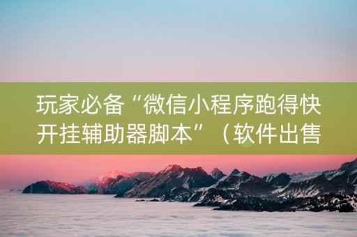 玩家必备“微信小程序跑得快开挂辅助器脚本”（软件出售)