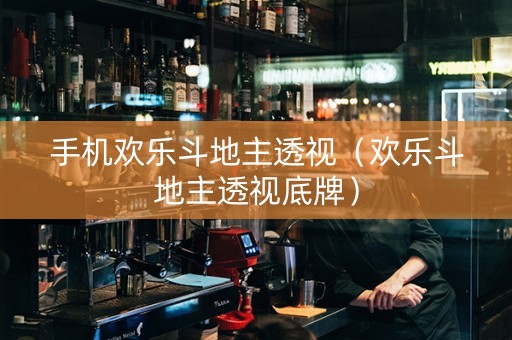 手机欢乐斗地主透视（欢乐斗地主透视底牌）