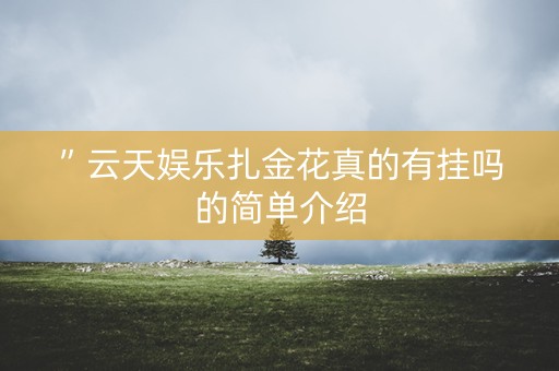 ”云天娱乐扎金花真的有挂吗的简单介绍