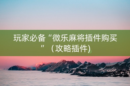 玩家必备“微乐麻将插件购买”（攻略插件)