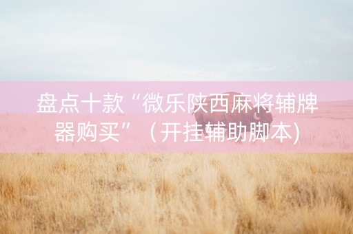 盘点十款“微乐陕西麻将辅牌器购买”（开挂辅助脚本)