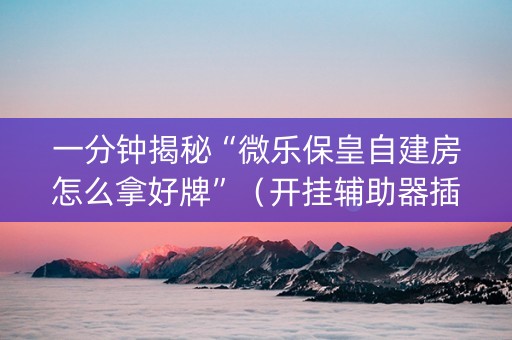 一分钟揭秘“微乐保皇自建房怎么拿好牌”（开挂辅助器插件)