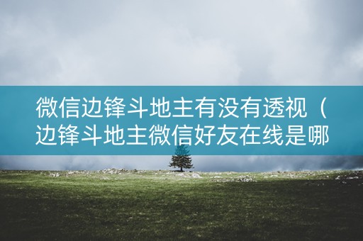 微信边锋斗地主有没有透视（边锋斗地主微信好友在线是哪里来的）