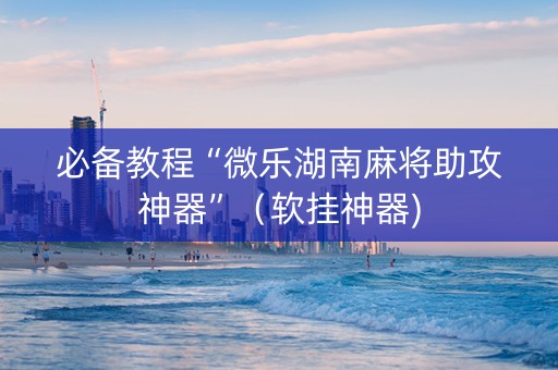 必备教程“微乐湖南麻将助攻神器”（软挂神器)