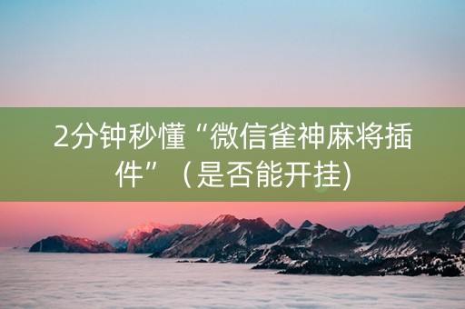 2分钟秒懂“微信雀神麻将插件”（是否能开挂)