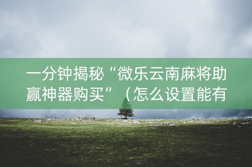 一分钟揭秘“微乐云南麻将助赢神器购买”（怎么设置能有好牌)