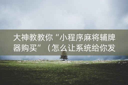 大神教教你“小程序麻将辅牌器购买”（怎么让系统给你发好牌)