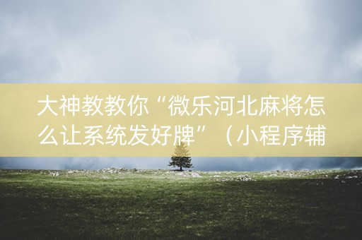 大神教教你“微乐河北麻将怎么让系统发好牌”（小程序辅助软件)