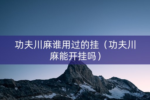 功夫川麻谁用过的挂（功夫川麻能开挂吗）