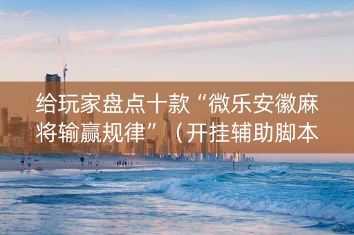 给玩家盘点十款“微乐安徽麻将输赢规律”（开挂辅助脚本)