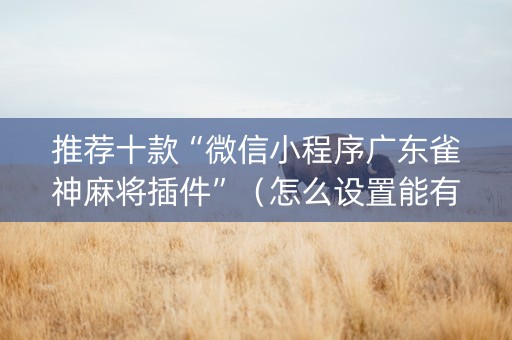 推荐十款“微信小程序广东雀神麻将插件”（怎么设置能有好牌)