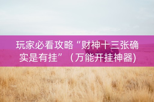 玩家必看攻略“财神十三张确实是有挂”（万能开挂神器)