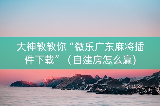 大神教教你“微乐广东麻将插件下载”（自建房怎么赢)