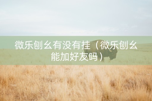 微乐刨幺有没有挂（微乐刨幺能加好友吗）