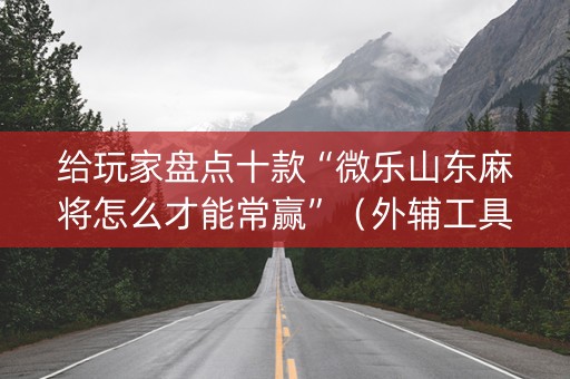 给玩家盘点十款“微乐山东麻将怎么才能常赢”（外辅工具)