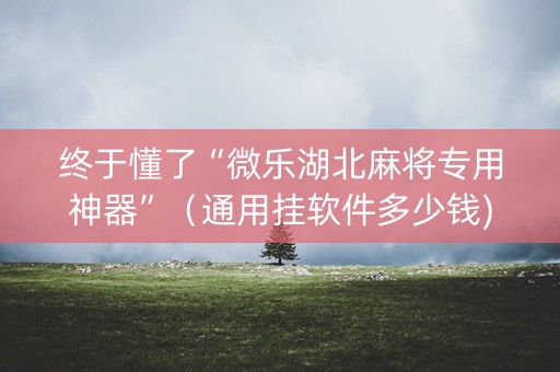 终于懂了“微乐湖北麻将专用神器”（通用挂软件多少钱)