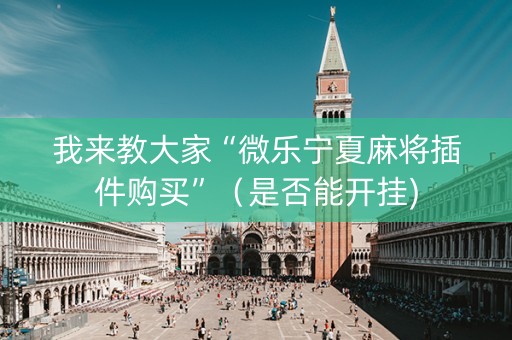 我来教大家“微乐宁夏麻将插件购买”（是否能开挂)
