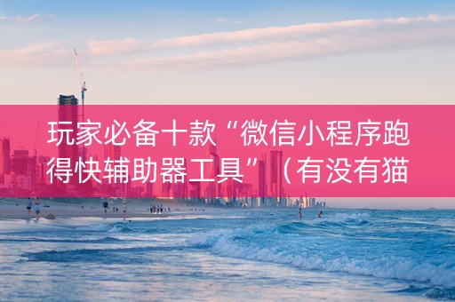玩家必备十款“微信小程序跑得快辅助器工具”（有没有猫腻)