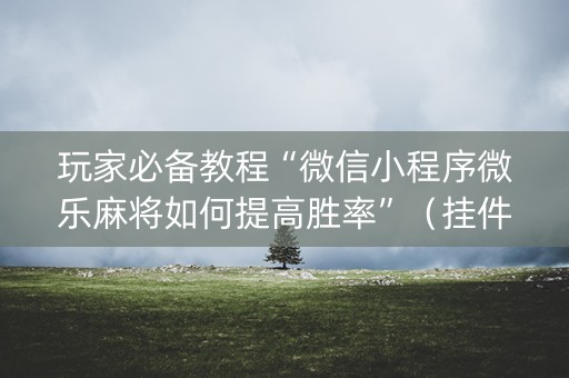玩家必备教程“微信小程序微乐麻将如何提高胜率”（挂件神器)
