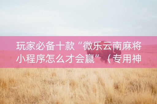 玩家必备十款“微乐云南麻将小程序怎么才会赢”（专用神器下载)