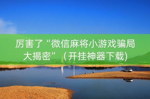 厉害了“微信麻将小游戏骗局大揭密”（开挂神器下载)