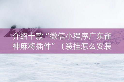 介绍十款“微信小程序广东雀神麻将插件”（装挂怎么安装)