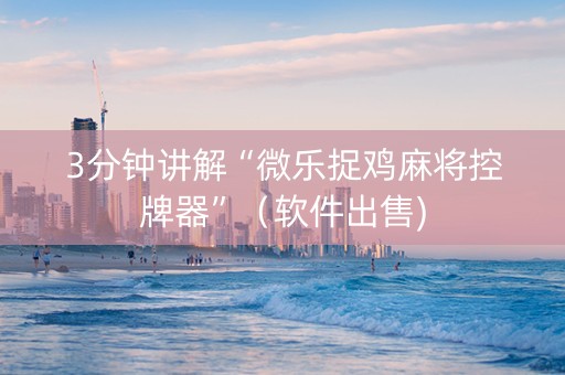 3分钟讲解“微乐捉鸡麻将控牌器”（软件出售)