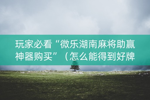 玩家必看“微乐湖南麻将助赢神器购买”（怎么能得到好牌)