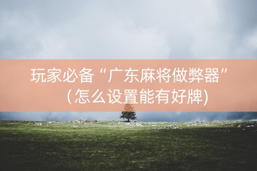 玩家必备“广东麻将做弊器”（怎么设置能有好牌)