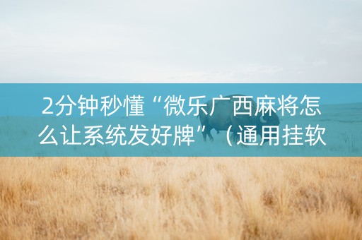 2分钟秒懂“微乐广西麻将怎么让系统发好牌”（通用挂软件多少钱)