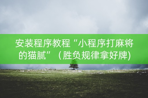 安装程序教程“小程序打麻将的猫腻”（胜负规律拿好牌)