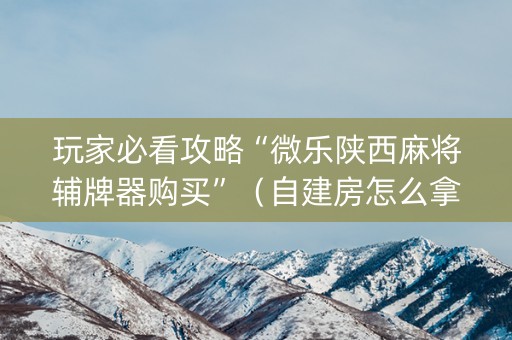 玩家必看攻略“微乐陕西麻将辅牌器购买”（自建房怎么拿好牌)