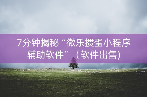 7分钟揭秘“微乐掼蛋小程序辅助软件”（软件出售)