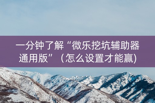 一分钟了解“微乐挖坑辅助器通用版”（怎么设置才能赢)