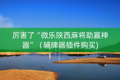 厉害了“微乐陕西麻将助赢神器”（辅牌器插件购买)
