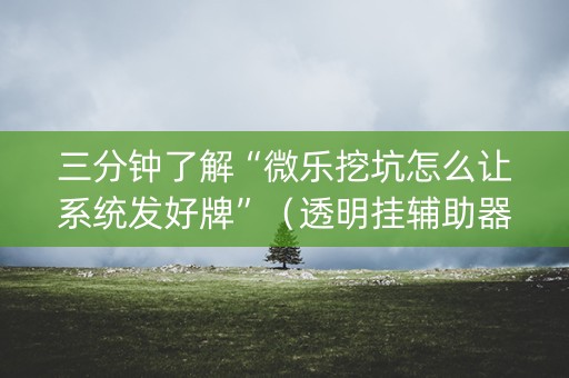 三分钟了解“微乐挖坑怎么让系统发好牌”（透明挂辅助器)