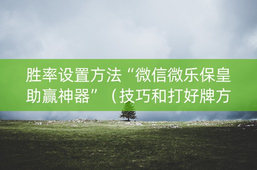胜率设置方法“微信微乐保皇助赢神器”（技巧和打好牌方法)