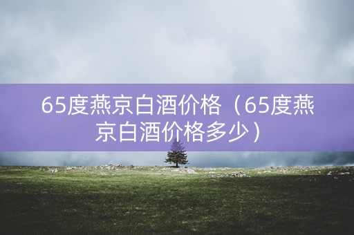 65度燕京白酒价格（65度燕京白酒价格多少）