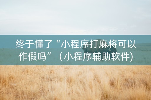 终于懂了“小程序打麻将可以作假吗”（小程序辅助软件)
