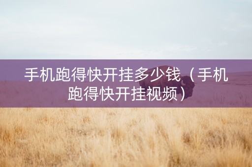 手机跑得快开挂多少钱（手机跑得快开挂视频）