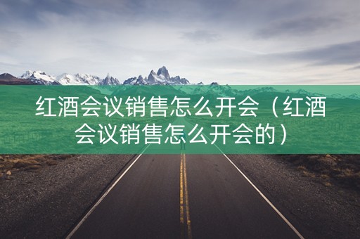 红酒会议销售怎么开会（红酒会议销售怎么开会的）