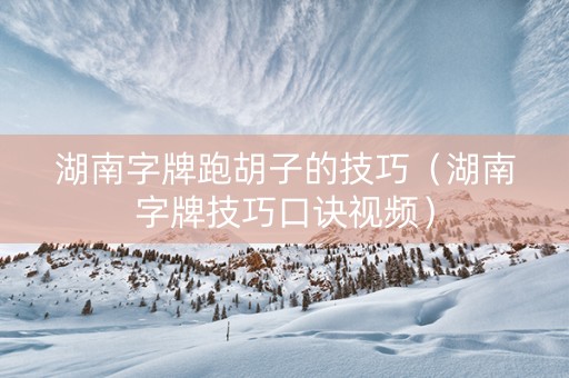 湖南字牌跑胡子的技巧（湖南字牌技巧口诀视频）