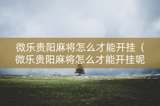 微乐贵阳麻将怎么才能开挂（微乐贵阳麻将怎么才能开挂呢）