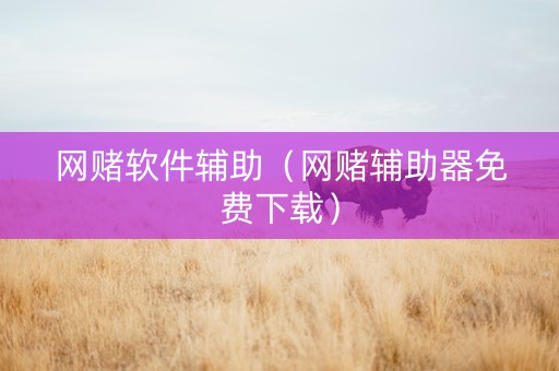 网赌软件辅助（网赌辅助器免费下载）