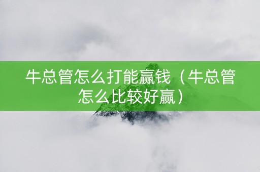 牛总管怎么打能赢钱（牛总管怎么比较好赢）