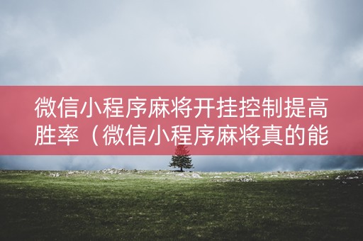 微信小程序麻将开挂控制提高胜率（微信小程序麻将真的能开挂吗）