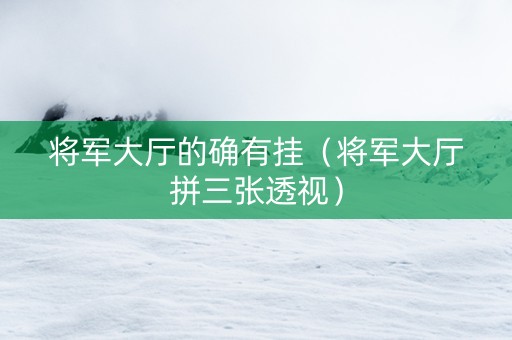 将军大厅的确有挂（将军大厅拼三张透视）