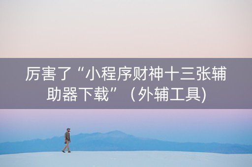 厉害了“小程序财神十三张辅助器下载”（外辅工具)
