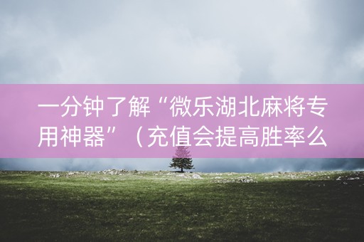 一分钟了解“微乐湖北麻将专用神器”（充值会提高胜率么)