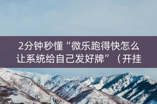 2分钟秒懂“微乐跑得快怎么让系统给自己发好牌”（开挂辅助器脚本)